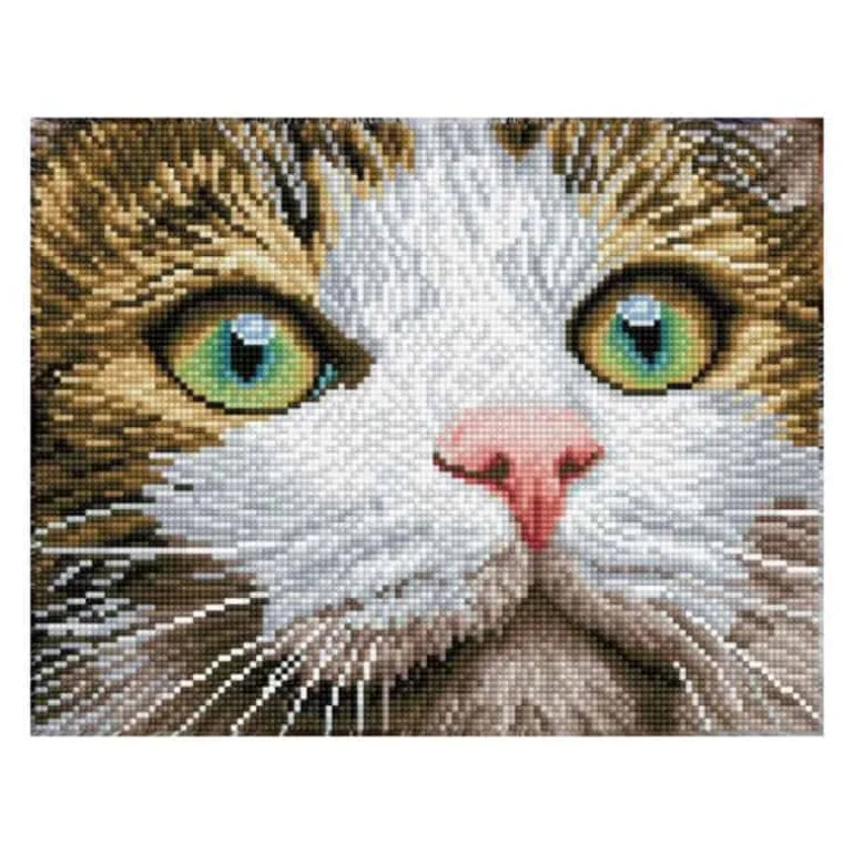 Diamond Dotz Green Eyed Beauty (43x35cm)
