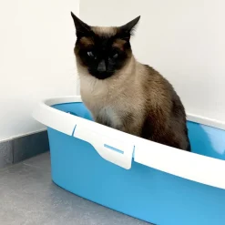 Duvo+ Kattenbakvulling Ecomais klontvormd (3,5kg)