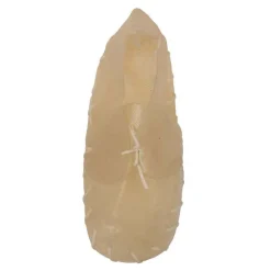 Duvo+ Kauwschoen (20cm)