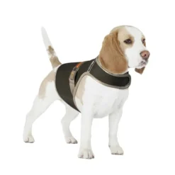 Duvo+ Veiligheidsjasje fluo flash M – USB zwart