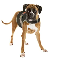 Duvo+ Veiligheidsjasje fluo flash L – USB zwart