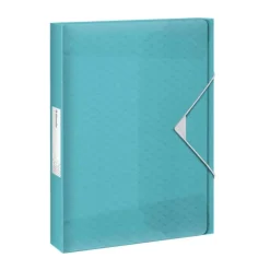 Esselte Documentenbox (25mm) blauw