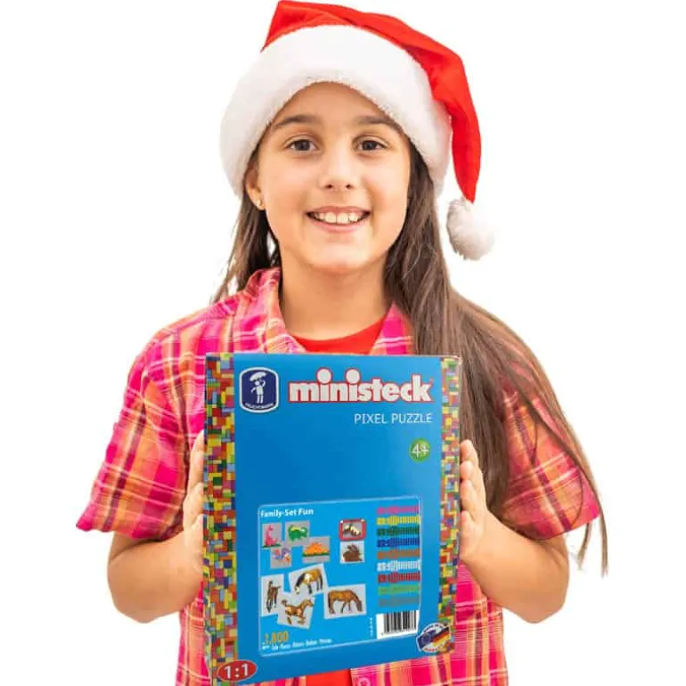 Ministeck Family Set Fun – XL Box