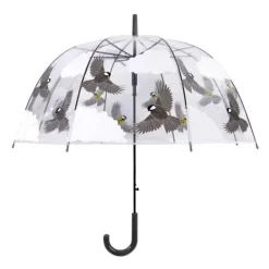 Paraplu transparant 2-zijdig vogel