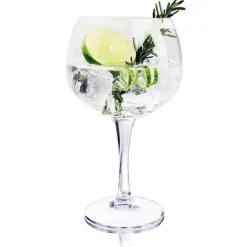 Royal Leerdam Gin Tonic glazen (65cl) – 4 stuks