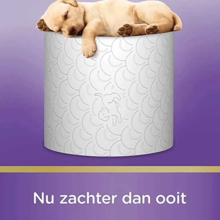 Scottex Kussenzacht wit 20+4 pack